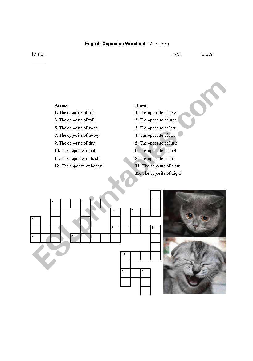 OppositesCrossword worksheet