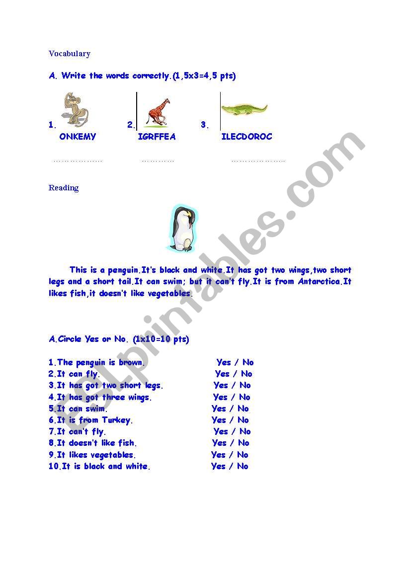 Vocabulary and Reading part for Quiz for 3rd grade