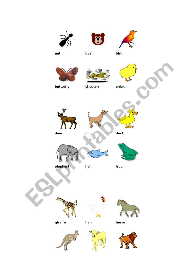 animals worksheet