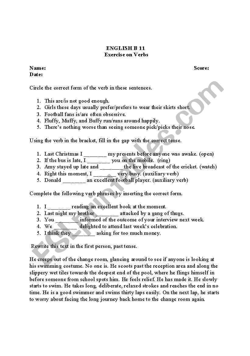exercise on verbs worksheet