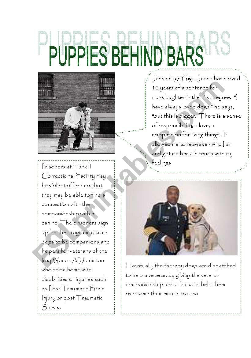 Puppies behind bars worksheet
