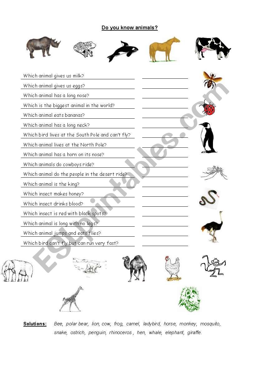 Do know the animals? worksheet