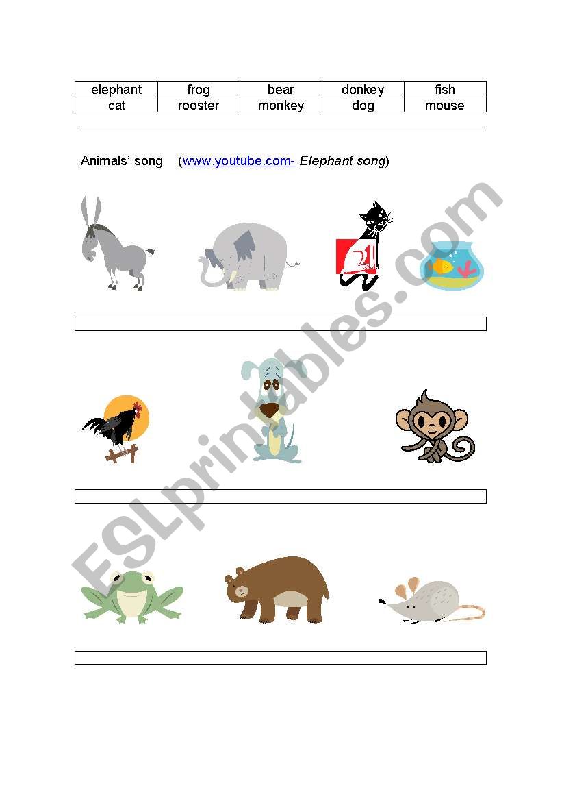 Animals worksheet