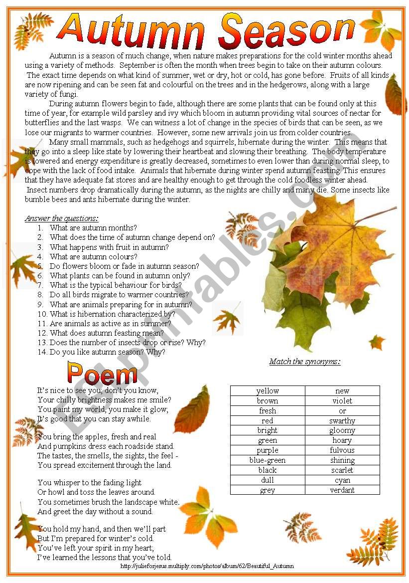 Autumn season worksheet