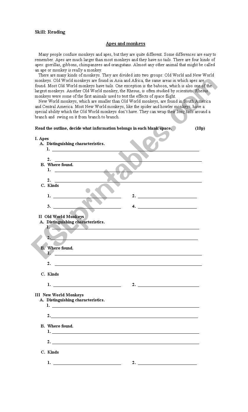 Apes and Monkeys  -  Snakes worksheet