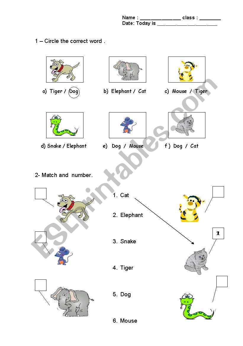 Animals reading words worksheet