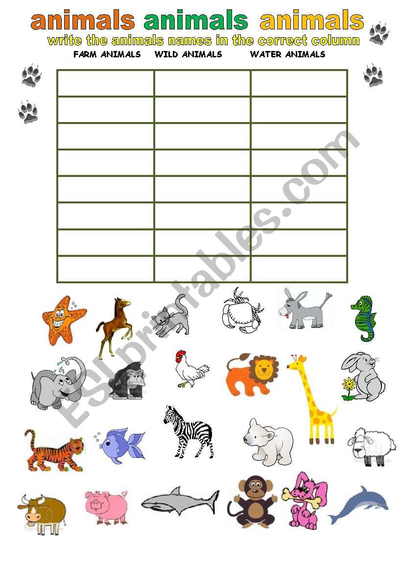  CATEGORIZE   ANIMALS. worksheet