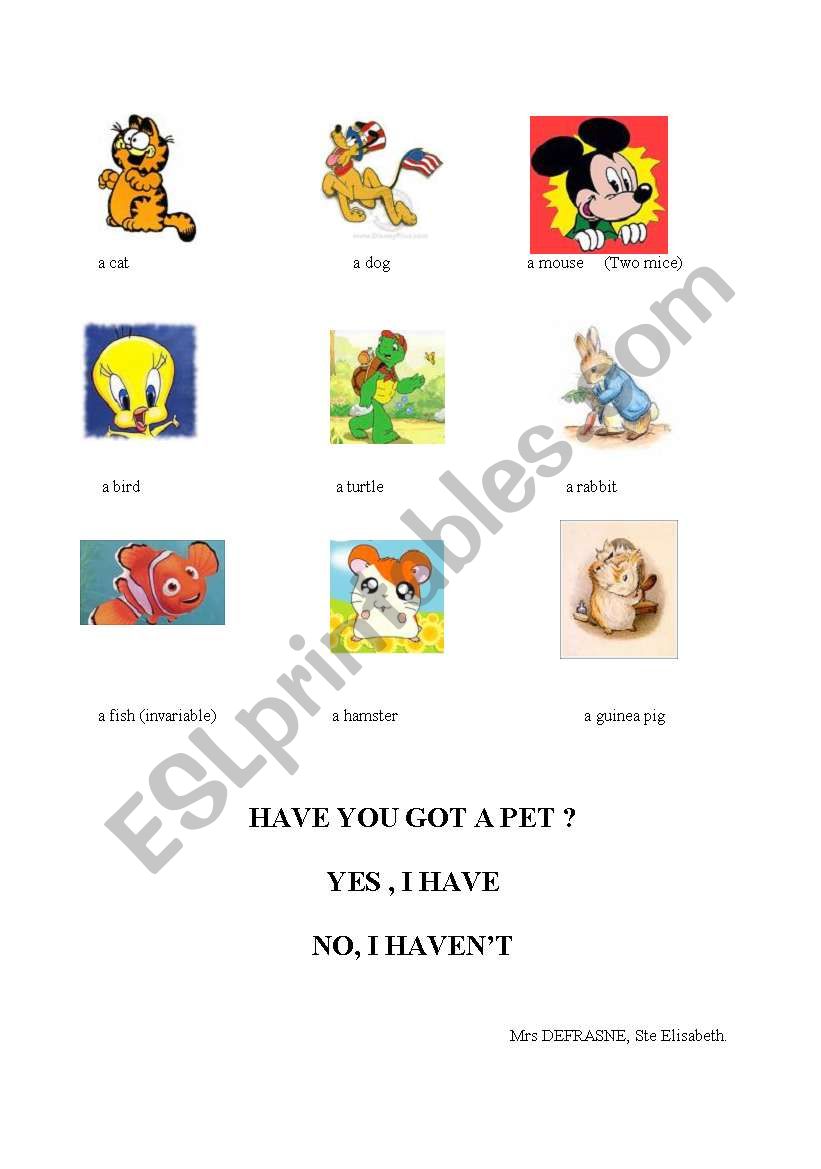 Have you got a pet? worksheet