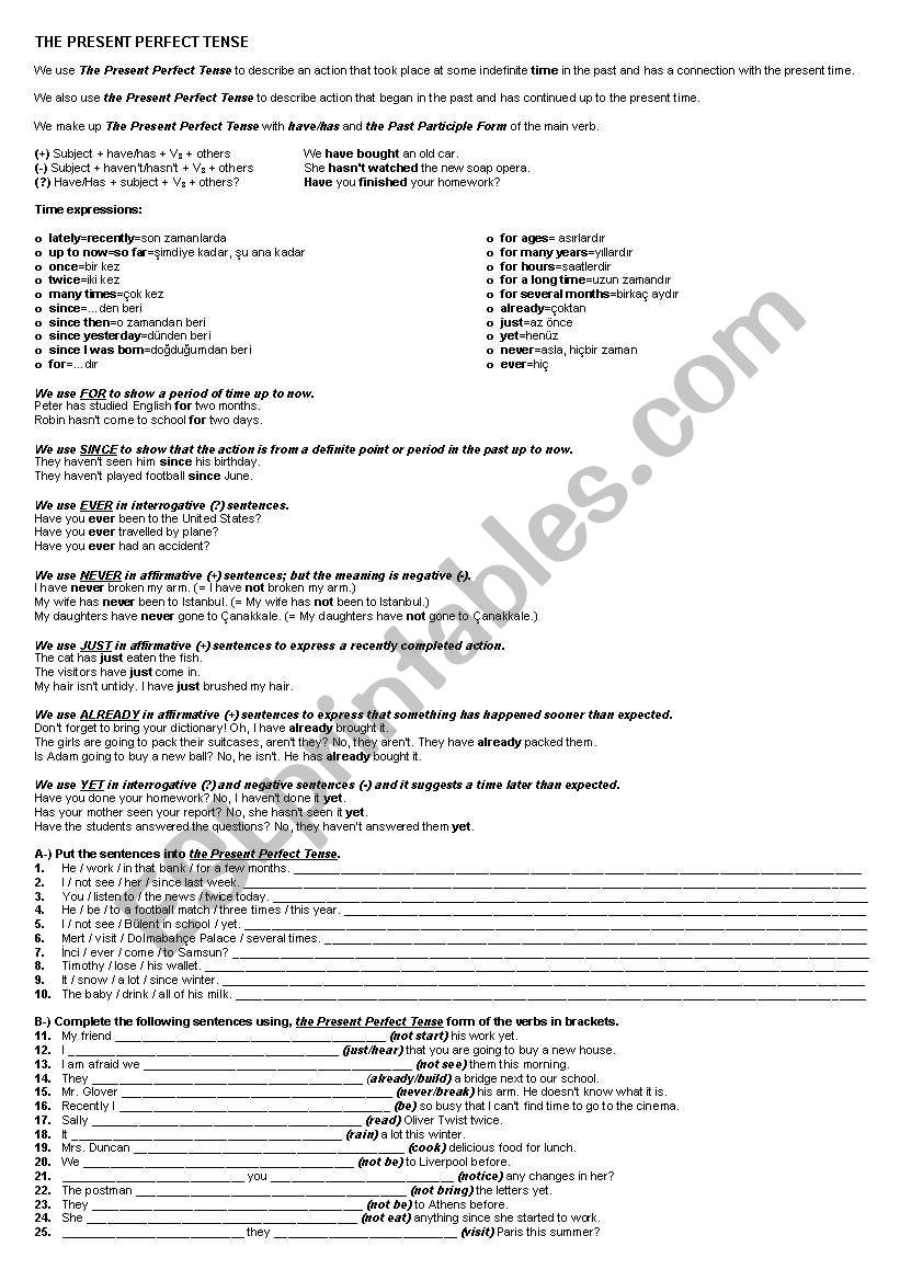 Present perfect worksheet