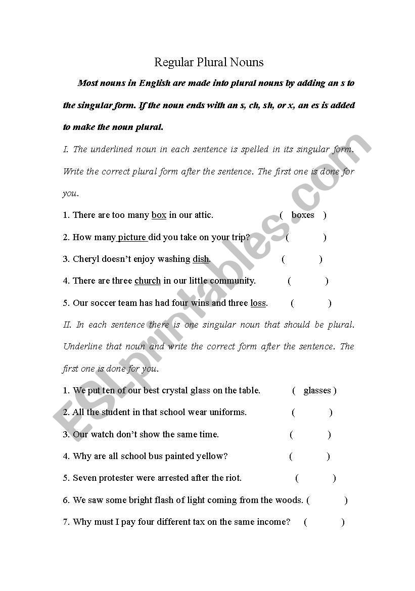 regular plural nouns worksheet