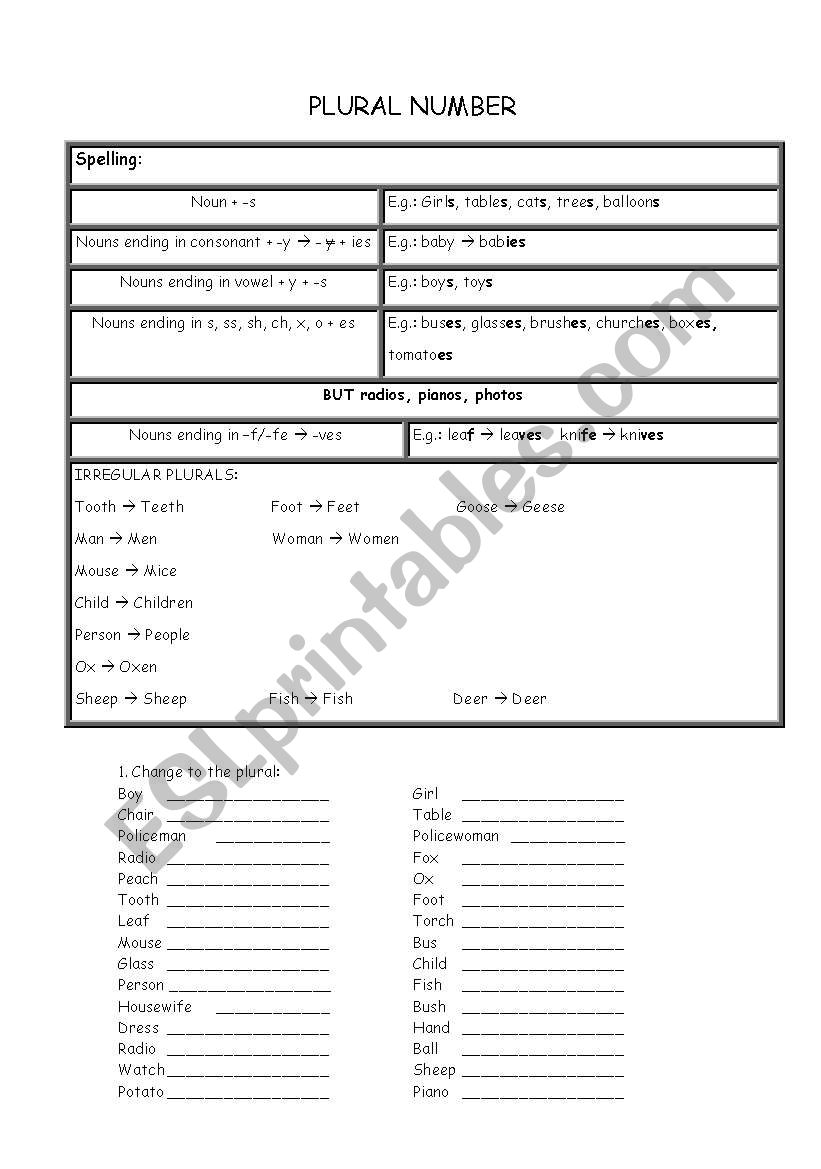 PLURAL NUMBER worksheet