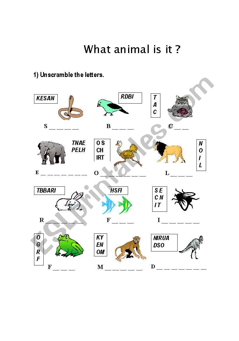 What animal is it? worksheet