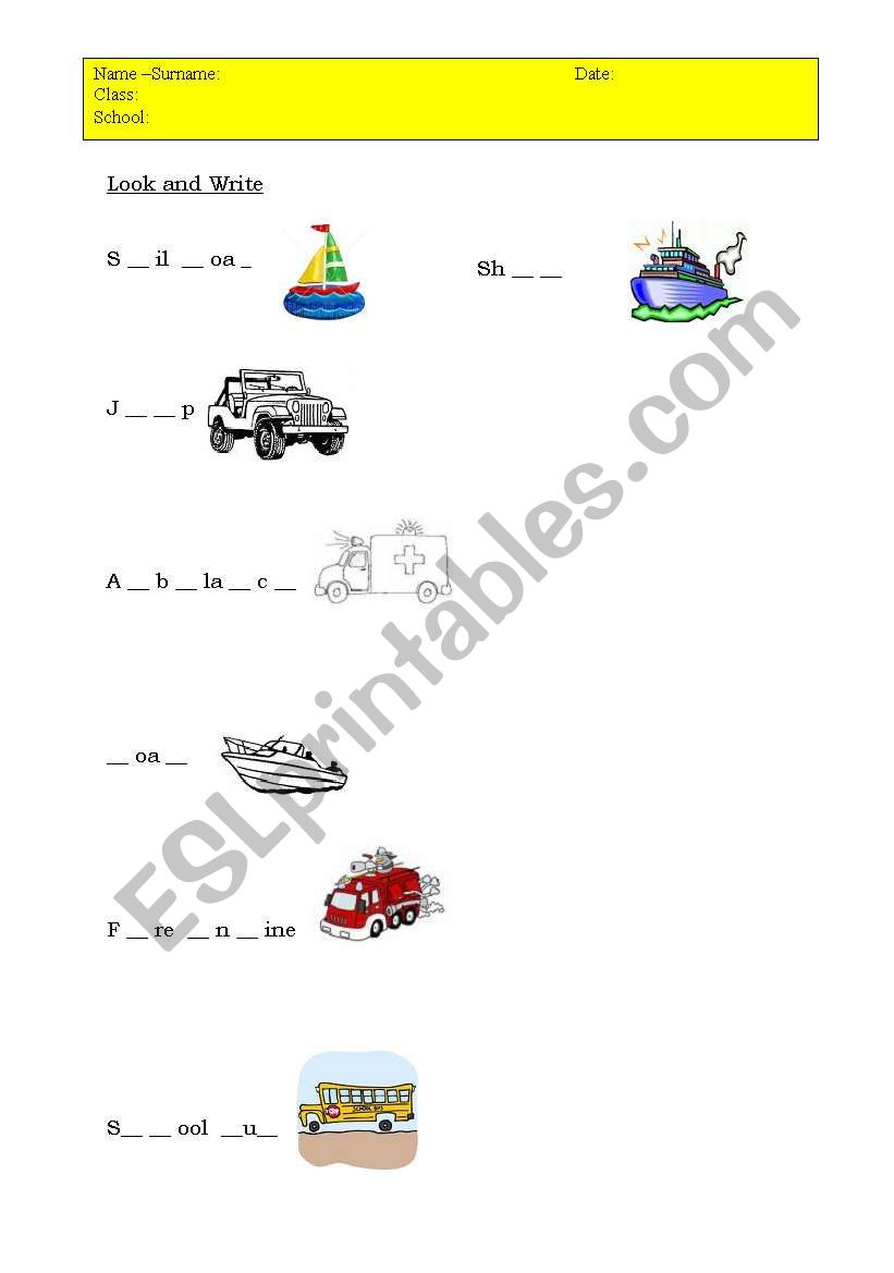 Transport worksheet