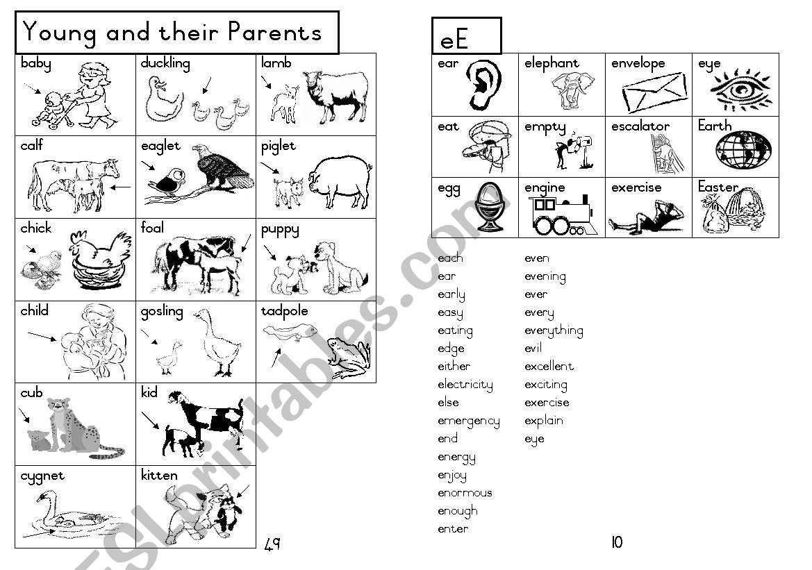 A5 Picture Dictionary 11 worksheet