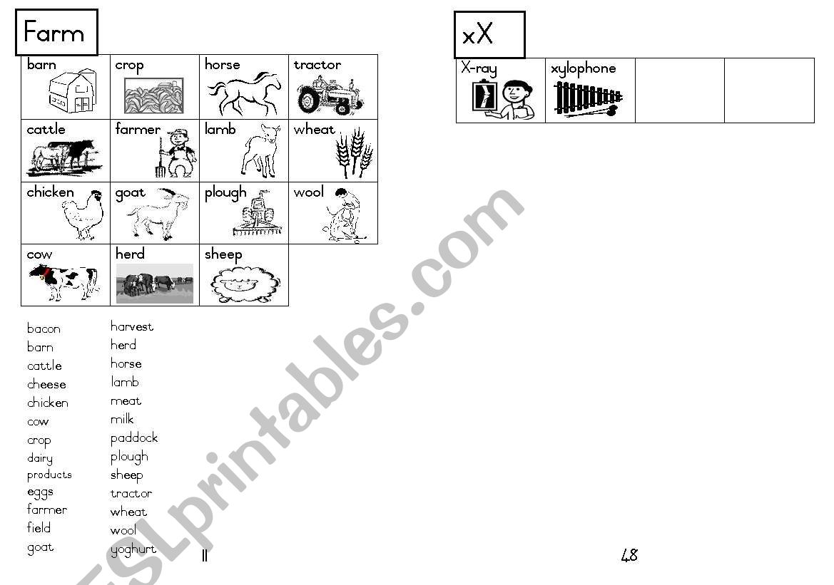 A5 Picture Dictionary 12 worksheet