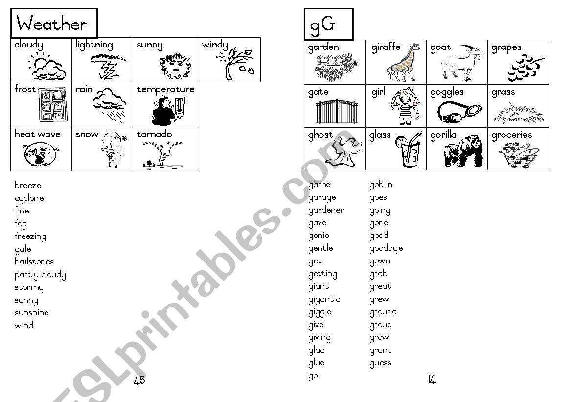 A5 Picture Dictionary 15 worksheet