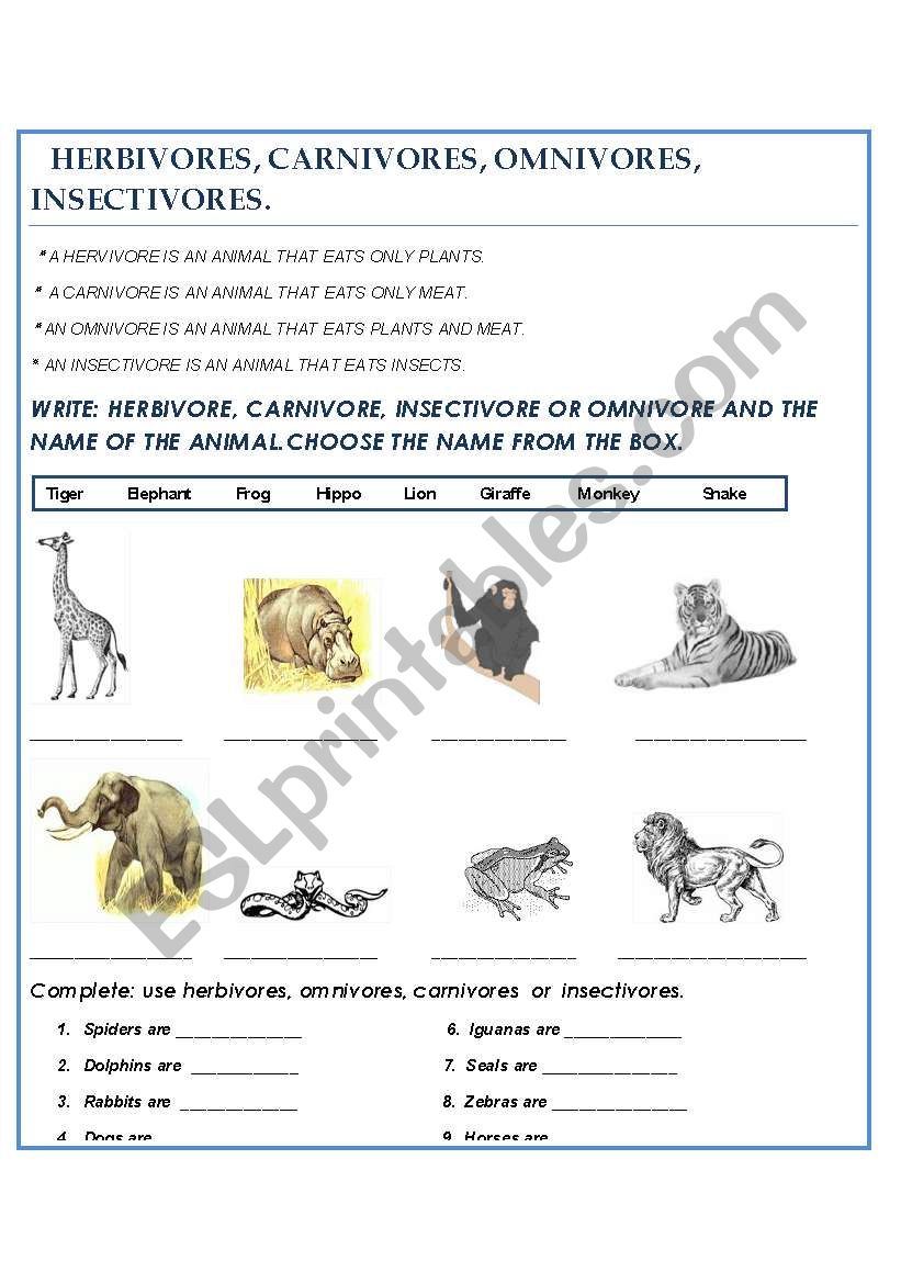 HERBIVORES VS. CARNIVORES worksheet