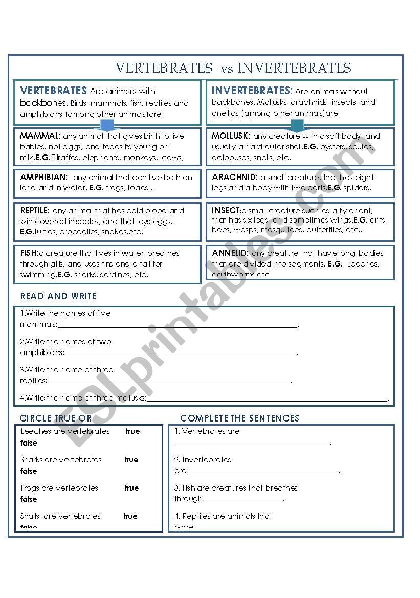Work Sheet On Introduction To Inverta Brate - Vertebrates and Invertebrates | Vertebrates ...