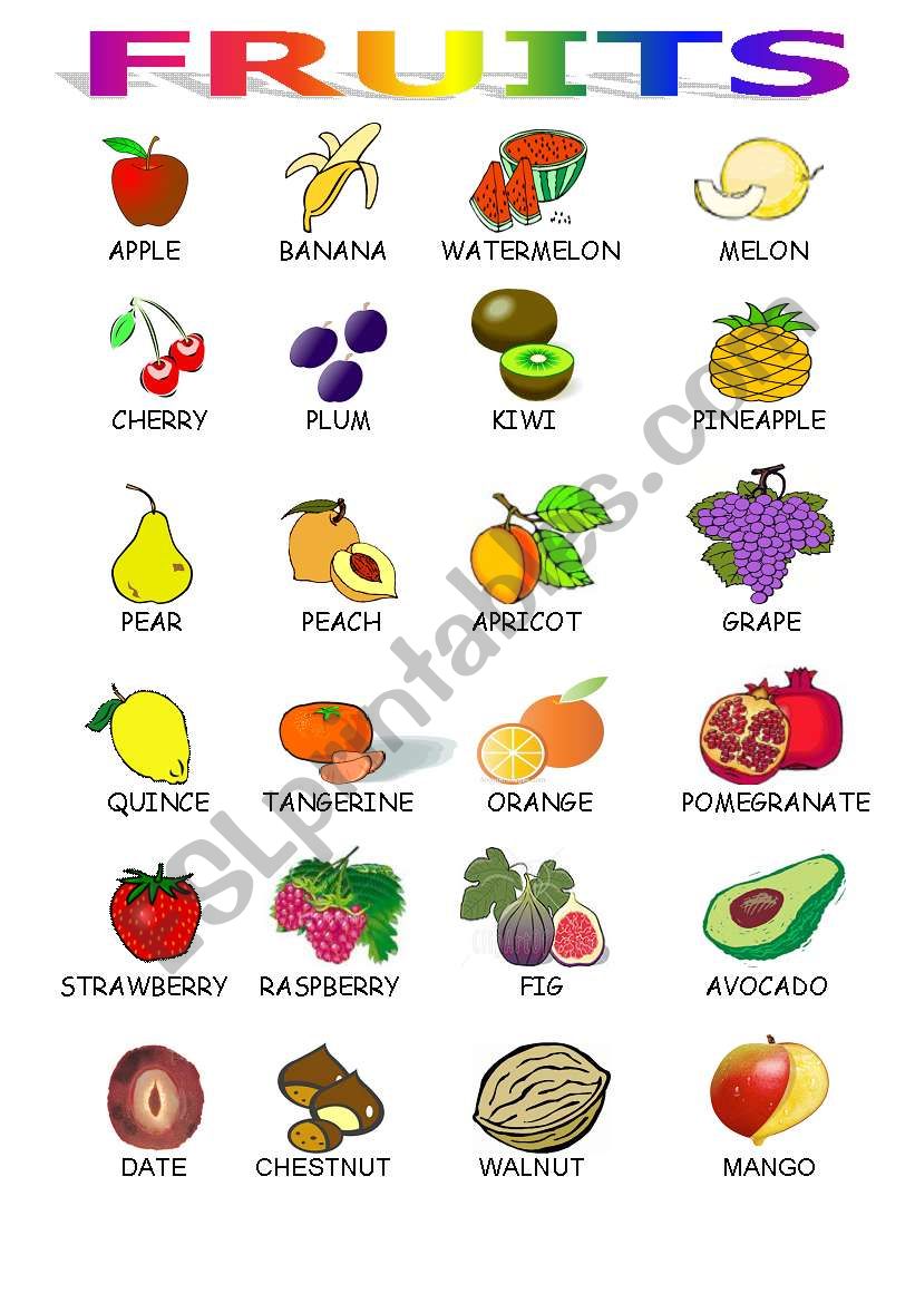 All Fruits In 1 Page worksheet
