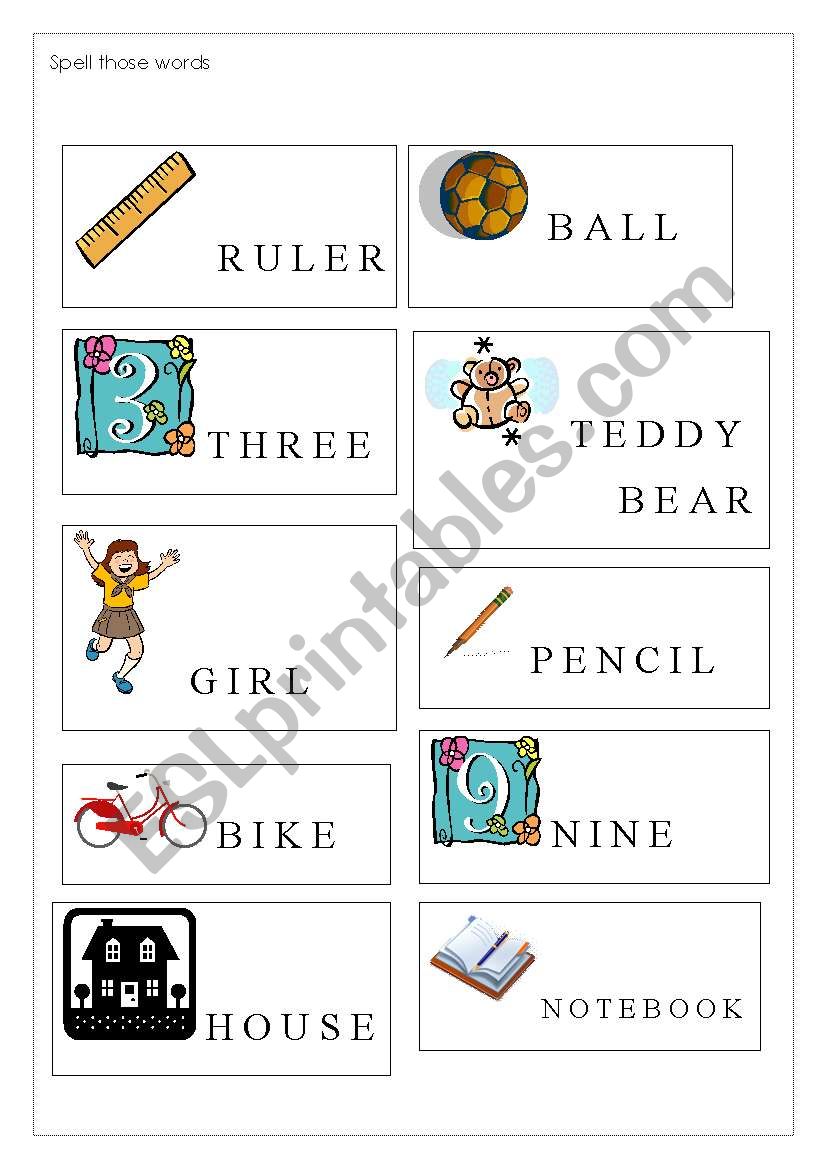 spell those words! worksheet