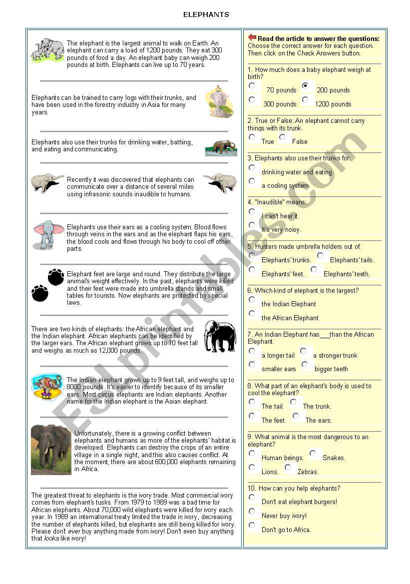 Elephants worksheet