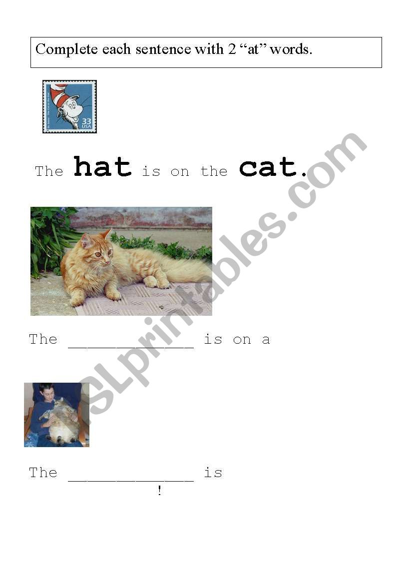Use -at words to complete each sentence.  Correct word usage shows understanding of pictures and sentences.