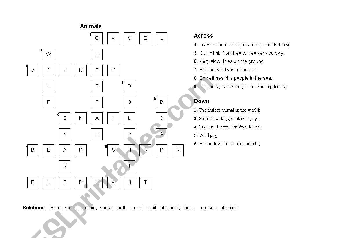 animals worksheet