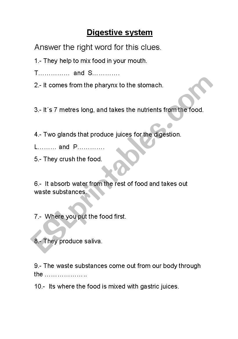 DIGESTIVE SYSTEM worksheet