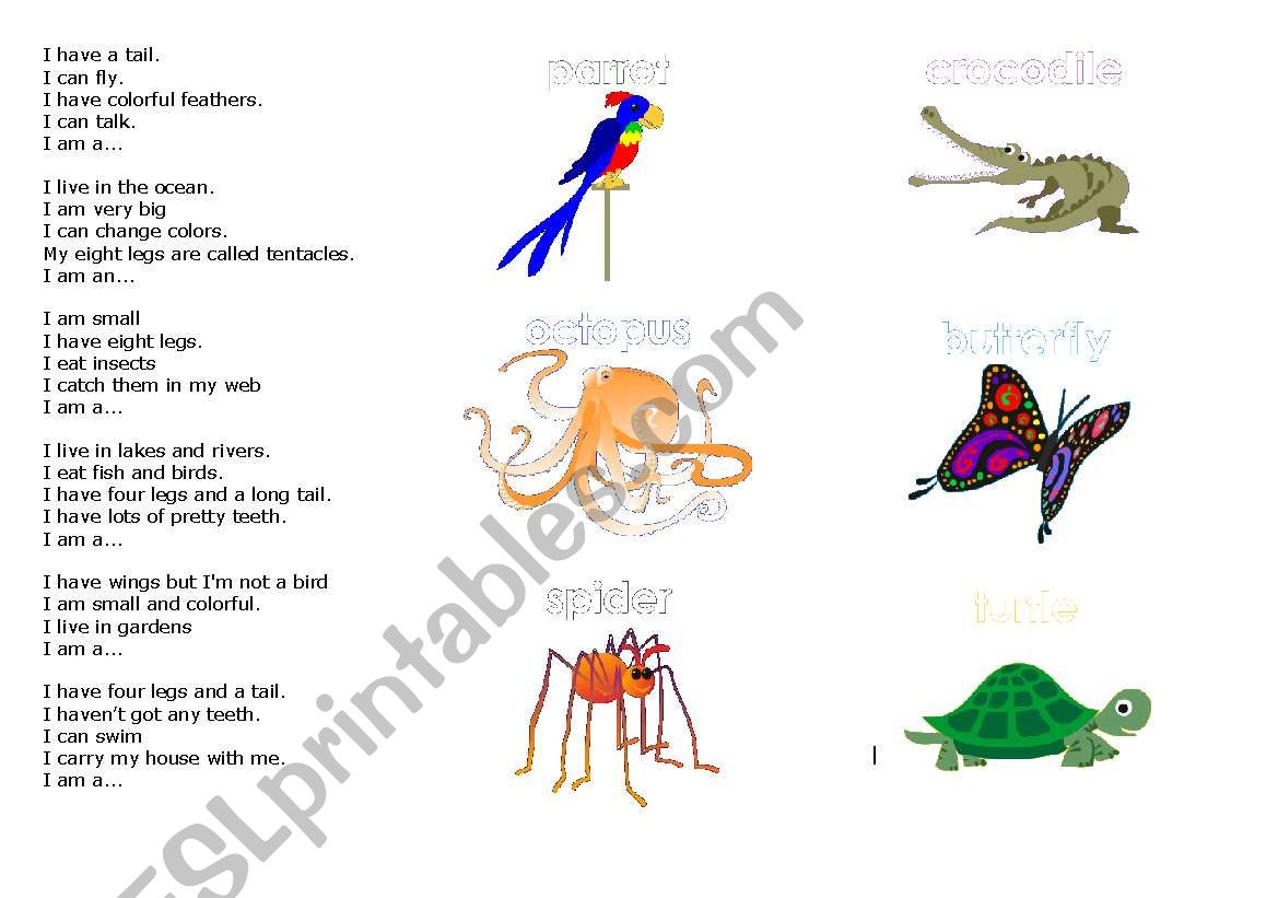 Animal riddles worksheet