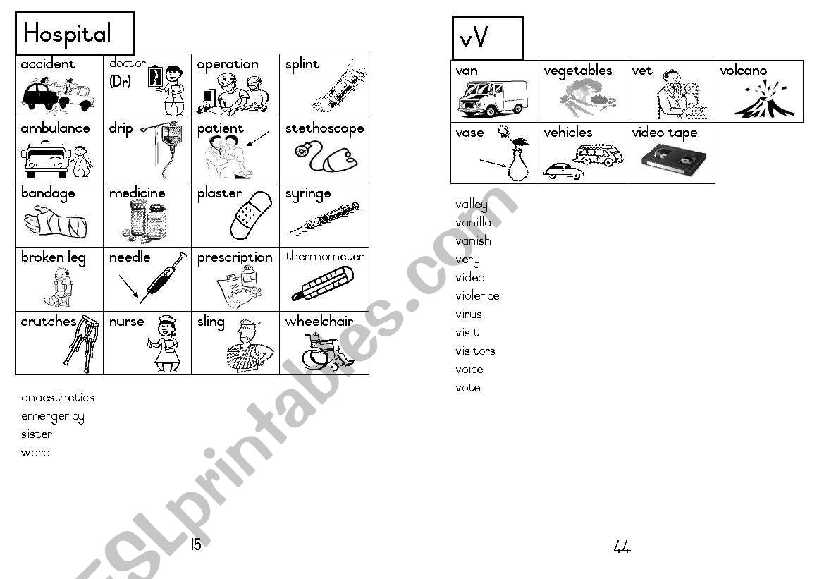 A5 Picture Dictionary 16 worksheet
