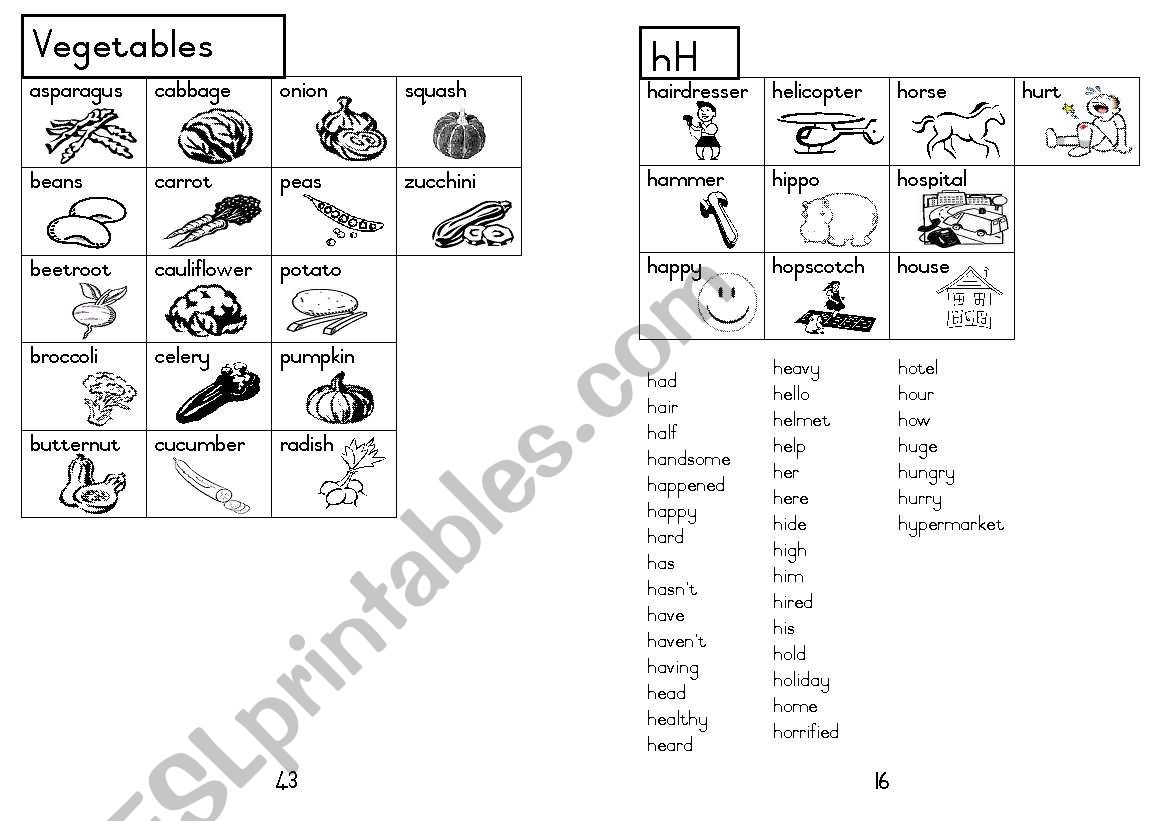 A5 Picture Dictionary 17 worksheet