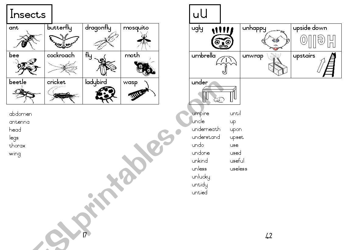 A5 Picture Dictionary 18 worksheet