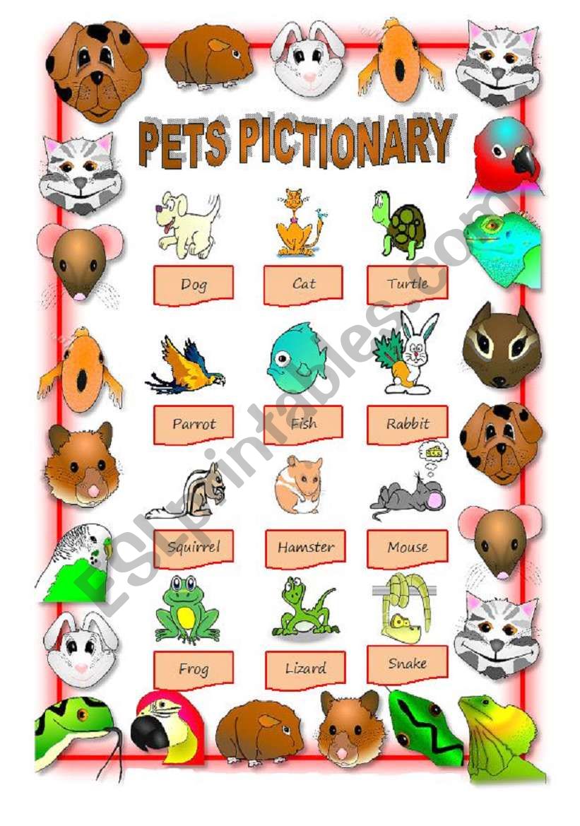 PETS PICTIONARY worksheet