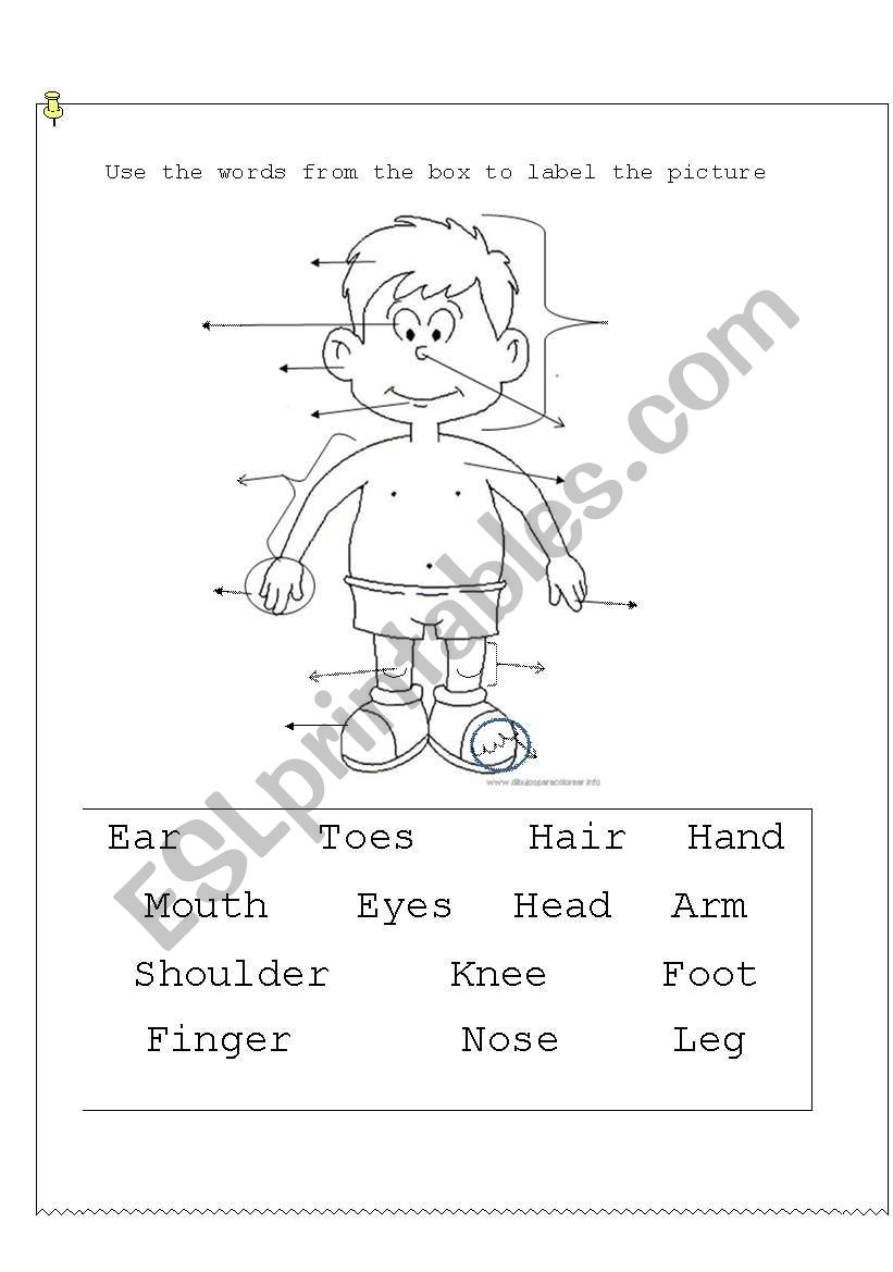 Body parts III worksheet