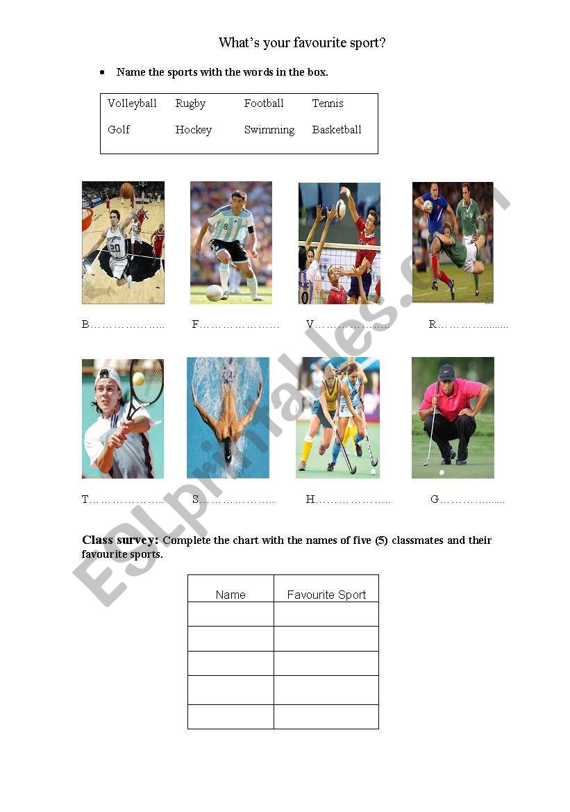 Sports - Class survey worksheet