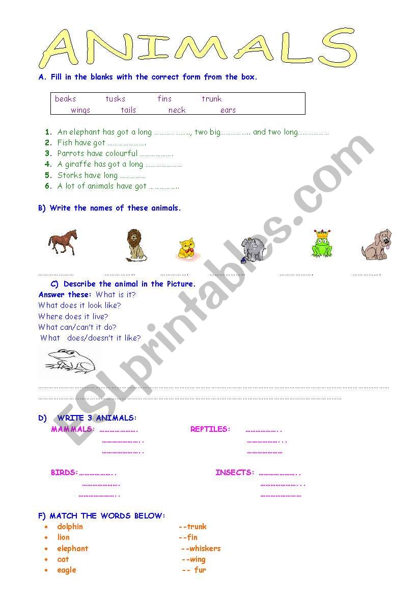 ANIMALS worksheet