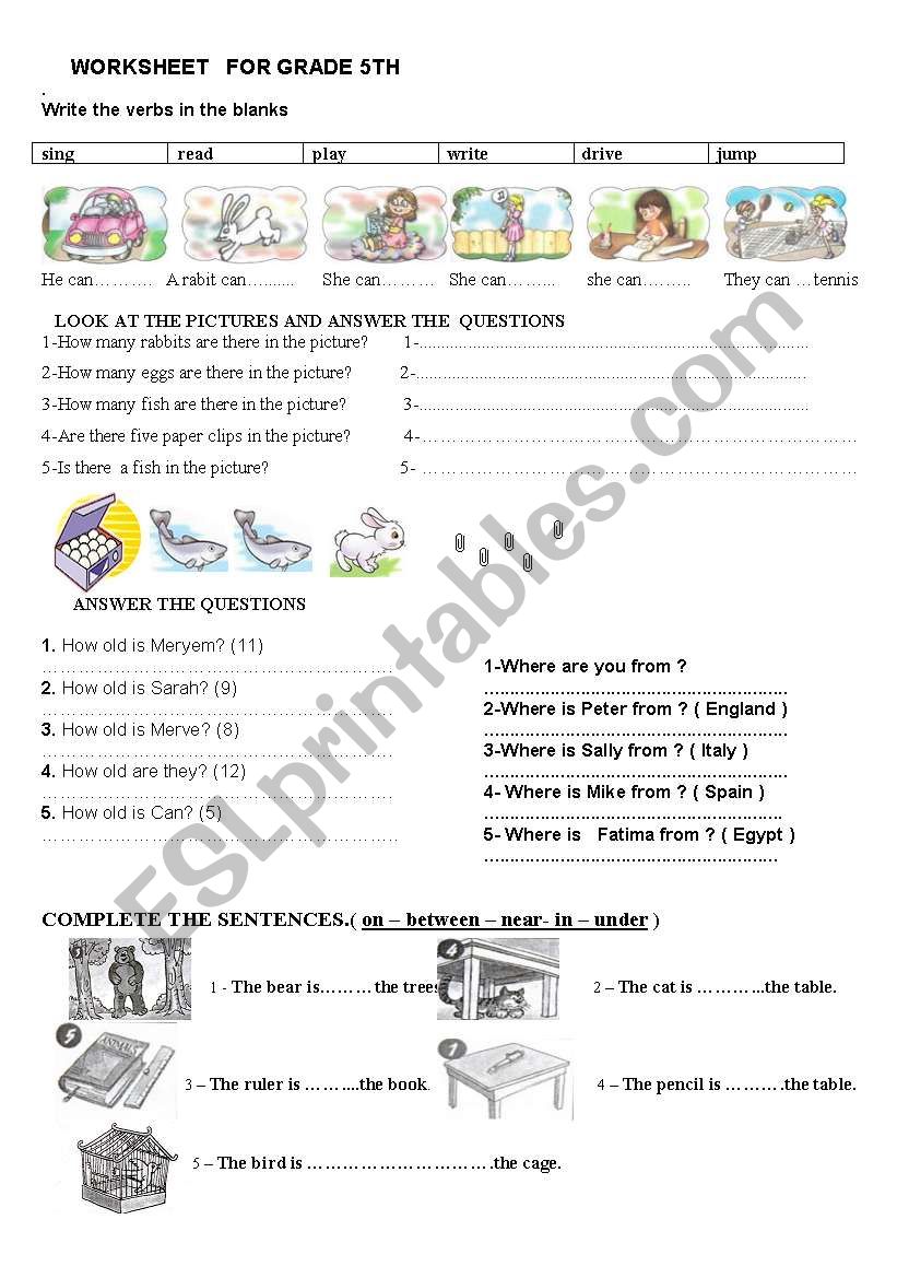 worksheet for fifth grade students