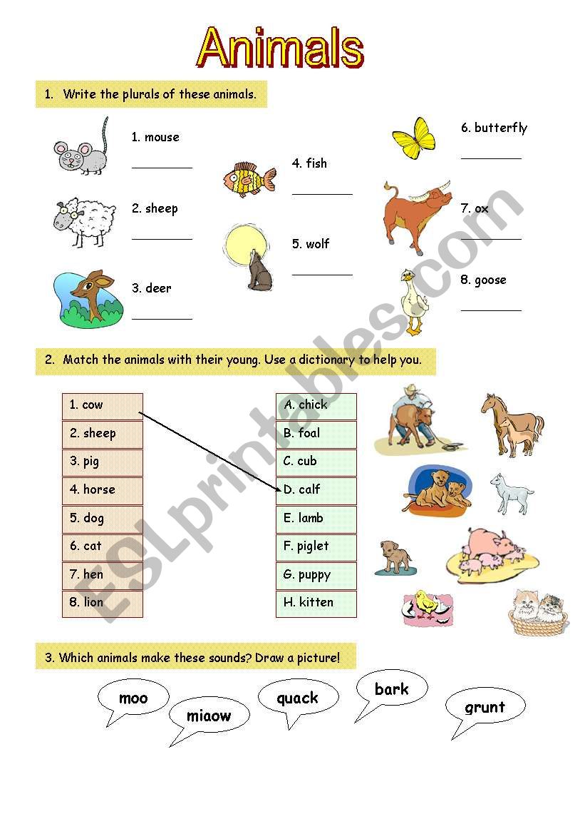 All about ANIMALS worksheet
