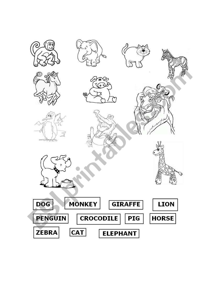 Animals worksheet