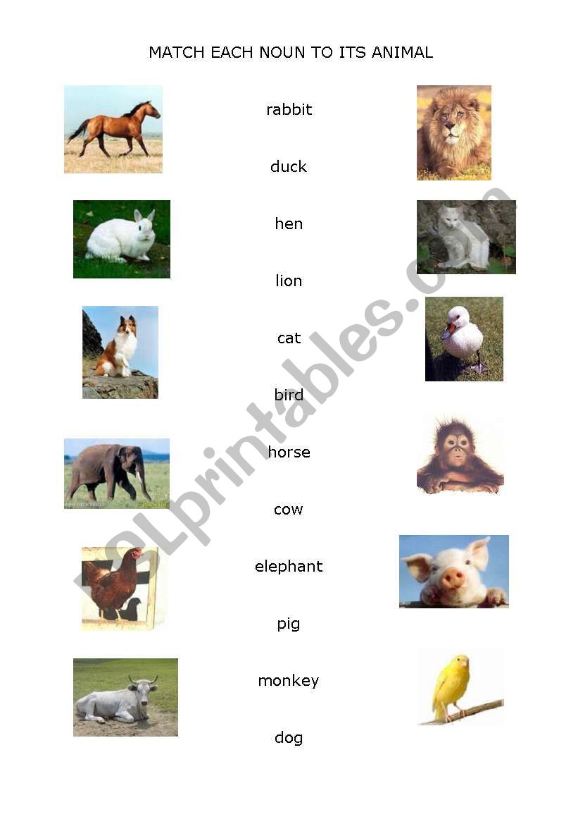 Animals test worksheet