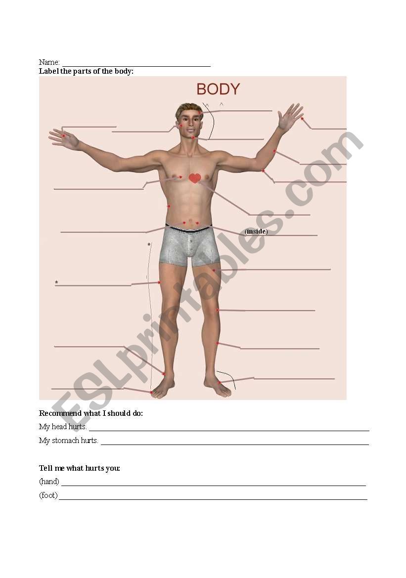 Parts of the Body worksheet