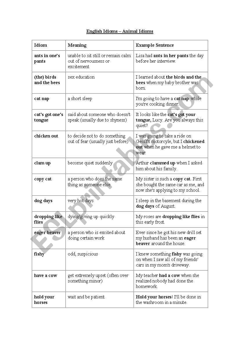 Animal idioms worksheet