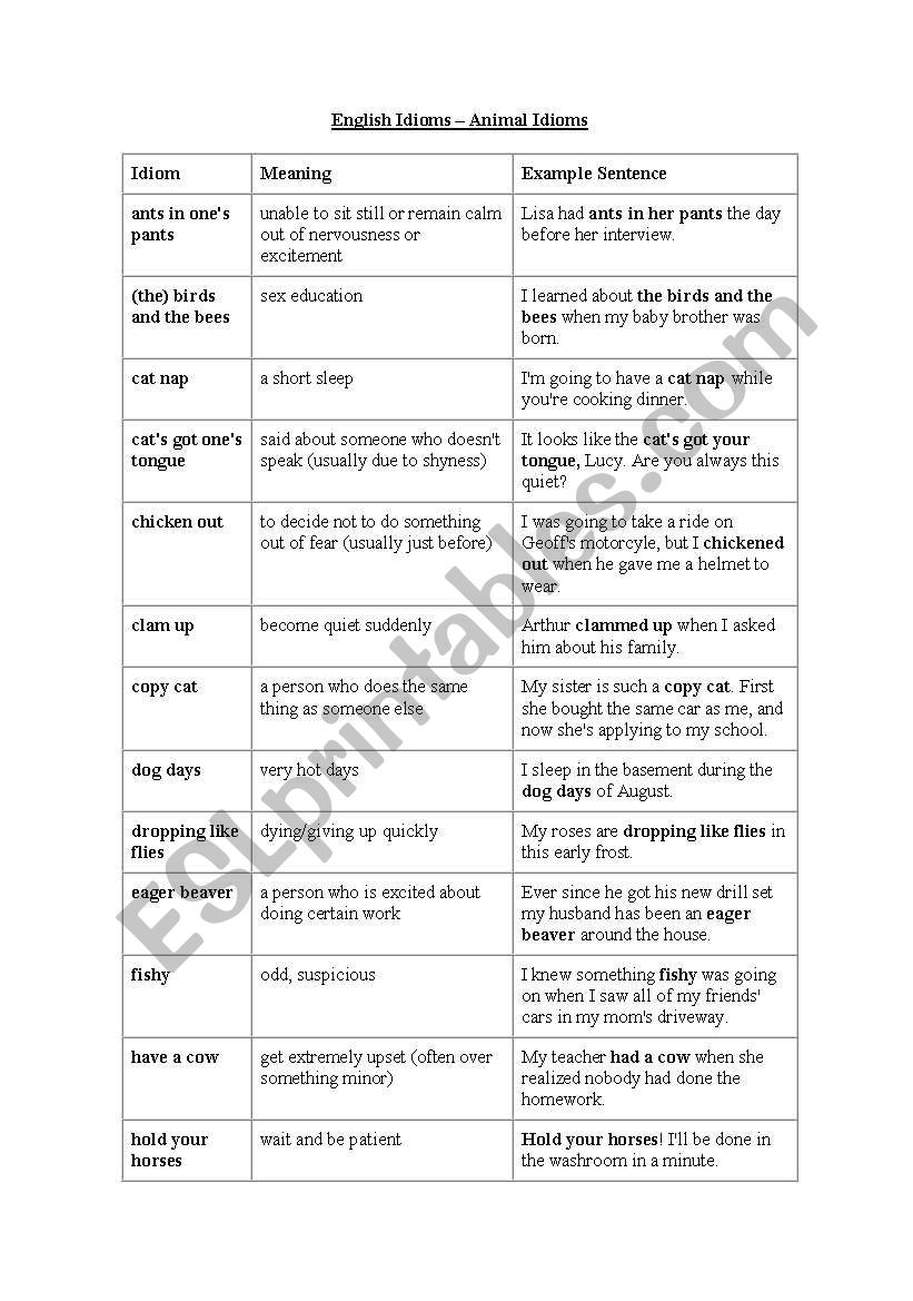 Animal idioms worksheet