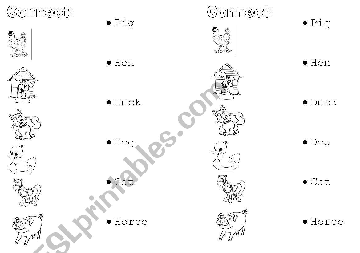 Animals worksheet