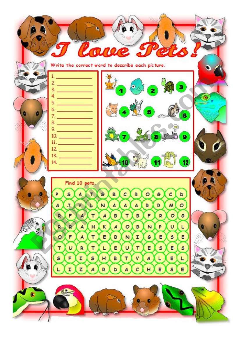 I LOVE PETS! worksheet