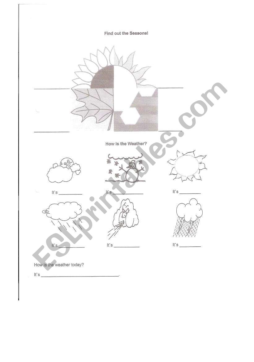 weather worksheet