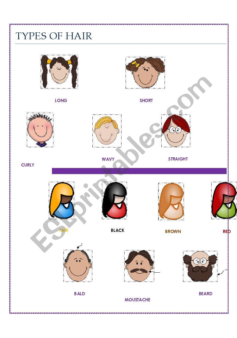 types of hair worksheet