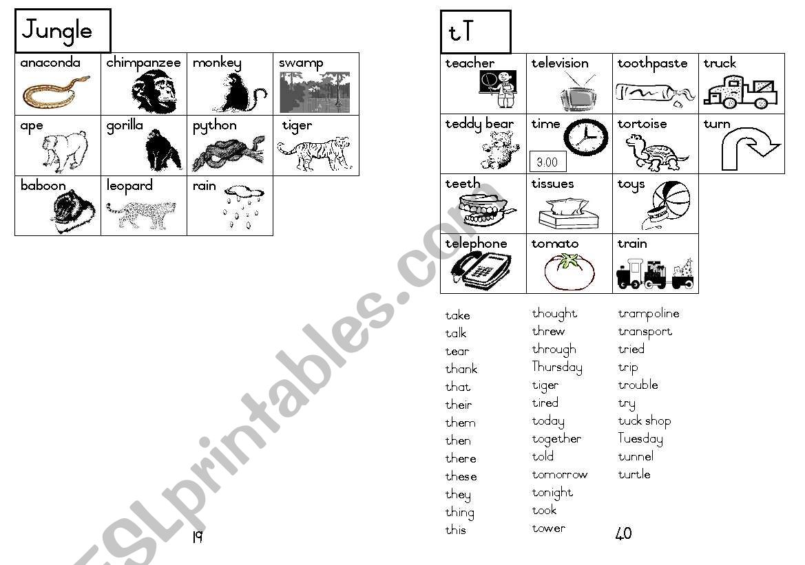 A5 Picture Dictionary 20 worksheet