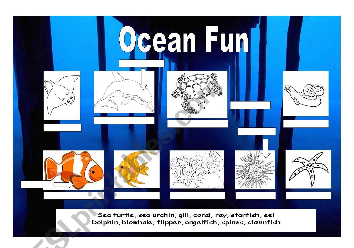 Ocean Fun  - Sealife Vocabulary Activity
