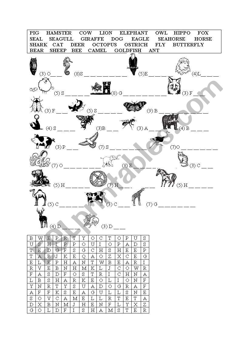 animals  worksheet